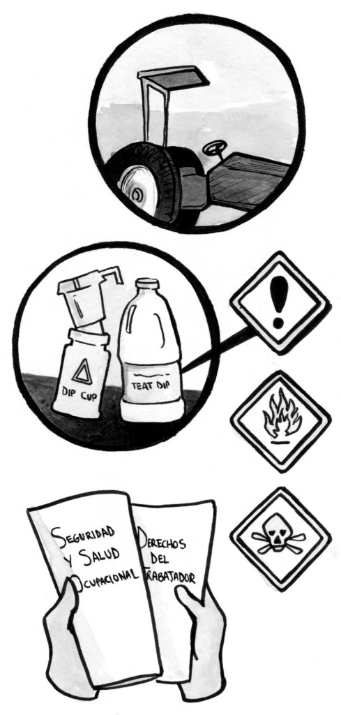 Illustration of a farmworker holding booklets on worker health and safety and worker rights. Chemical and machinery risks are shown above, including the tractors with overhead roll-over protection, and the teat dip chemicals used to sanitize the cow during milking.