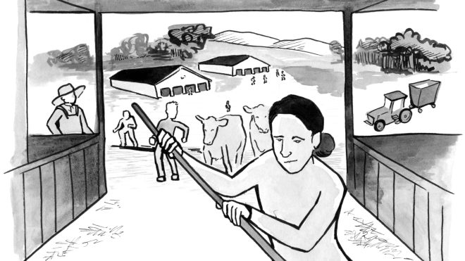Comic illustration of a farmworker brushing out the barn. Farmworkers are walking with cows up to the barn, and a picturesque hillside is in the distance.